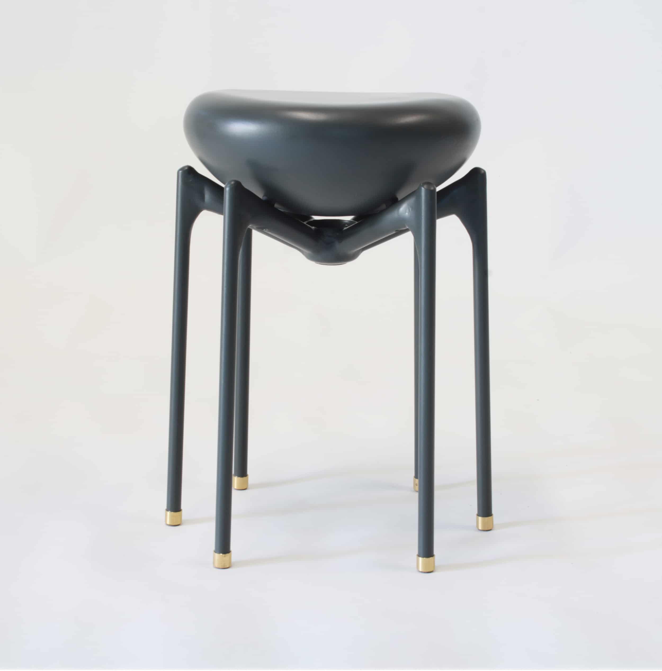 BINOME_Arapode gris - 1